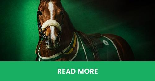 GRAND NATIONAL. Bet £20 & Get £7. Daily OPT-IN