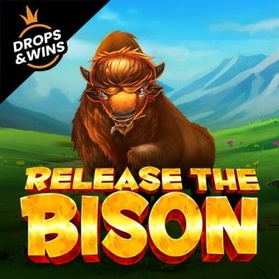 Release the Bison thumbnail