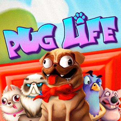 Pug Life thumbnail