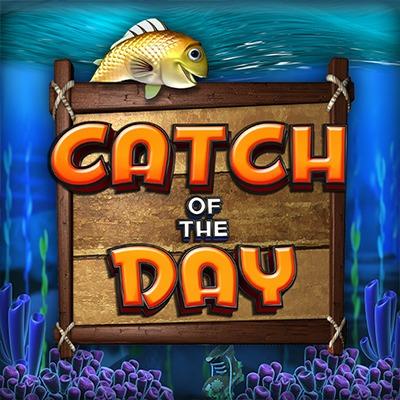 Catch of the Day thumbnail