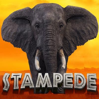 Stampede thumbnail