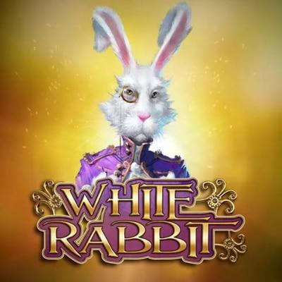 White Rabbit thumbnail