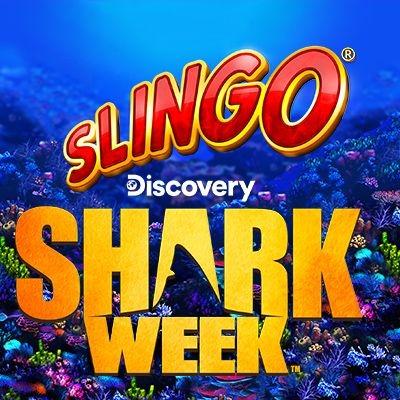 Slingo Shark Week