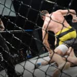 Highest-Paid UFC Fighters