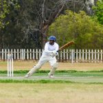 cricekt players playing a game