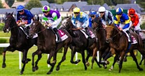 Multiple race horses on a track