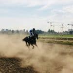 Man on a horse on a racing track