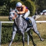 Man on a horse in a race track