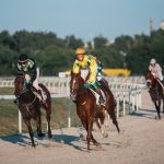 Multiple racers on horses on a horse track