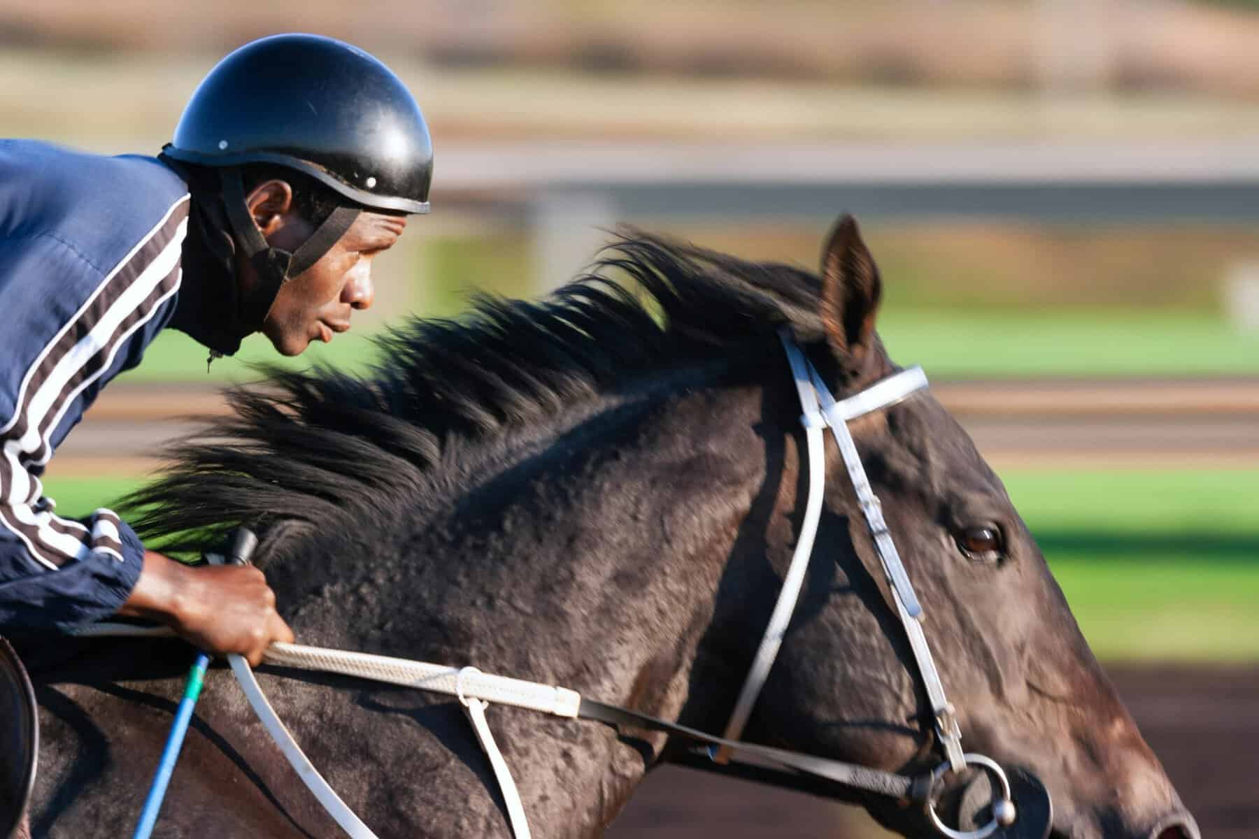 Man on a horse in a horse track
