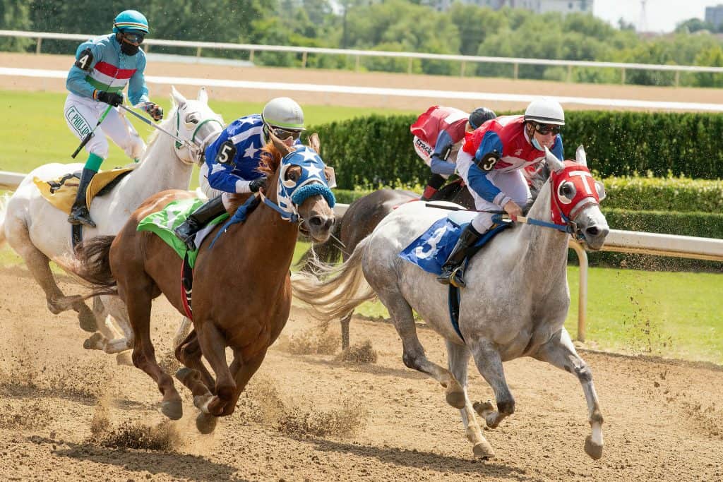 what does each way mean in betting