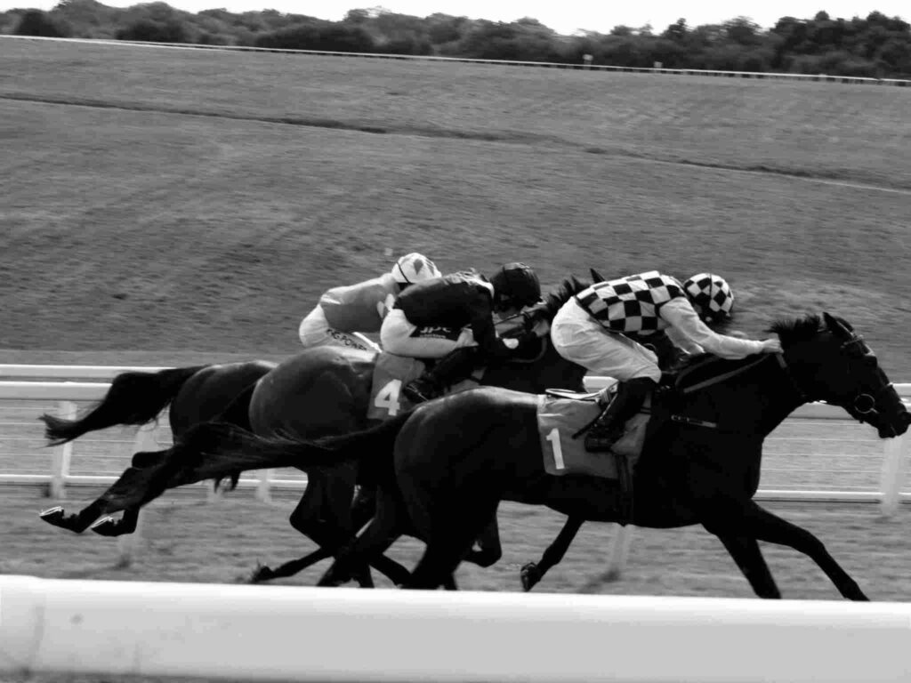 Doncaster races fixtures