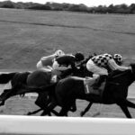 Doncaster races fixtures