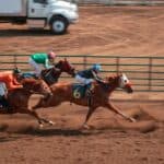 Multiple horses in a race