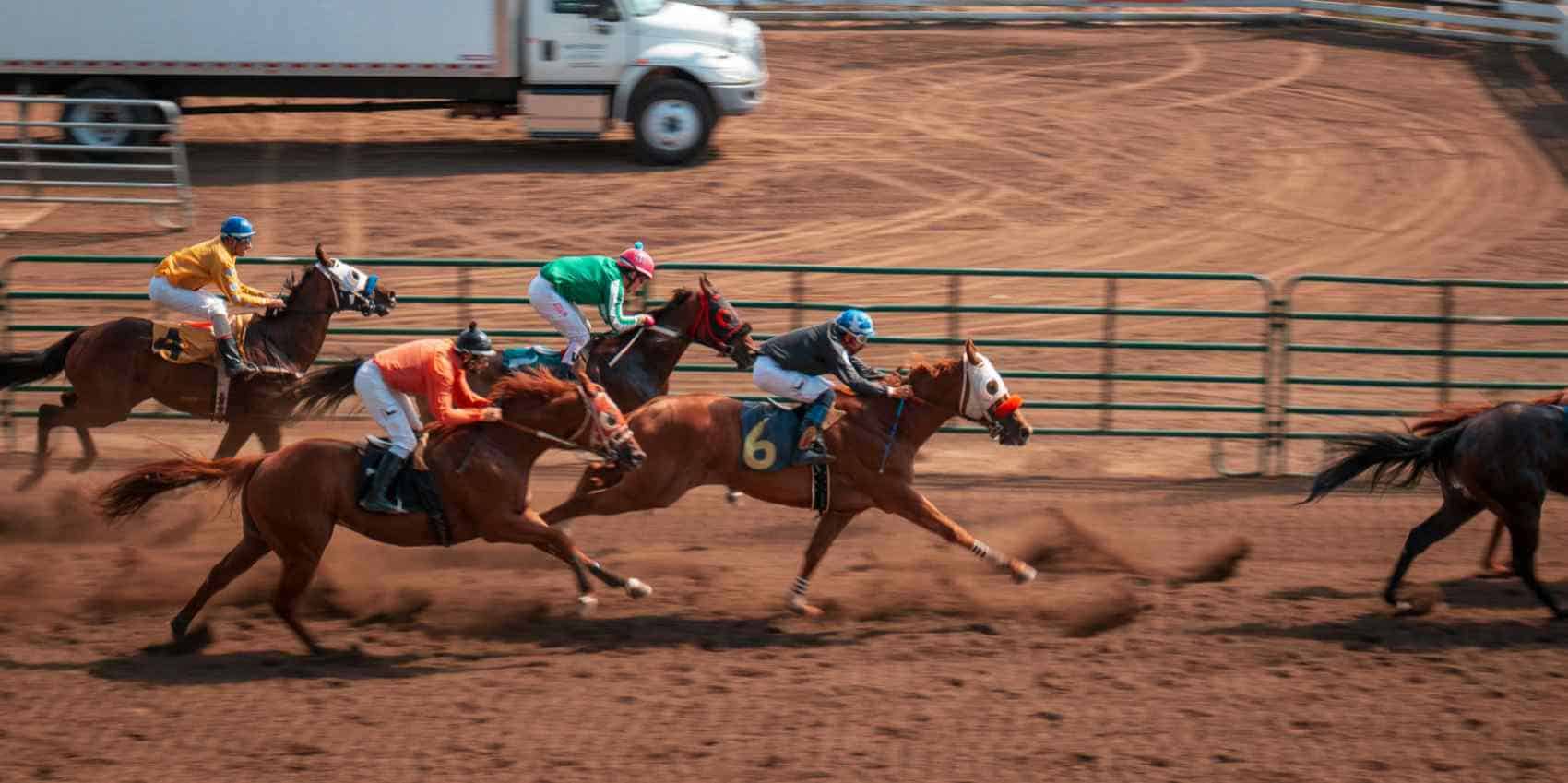 Multiple horses in a race