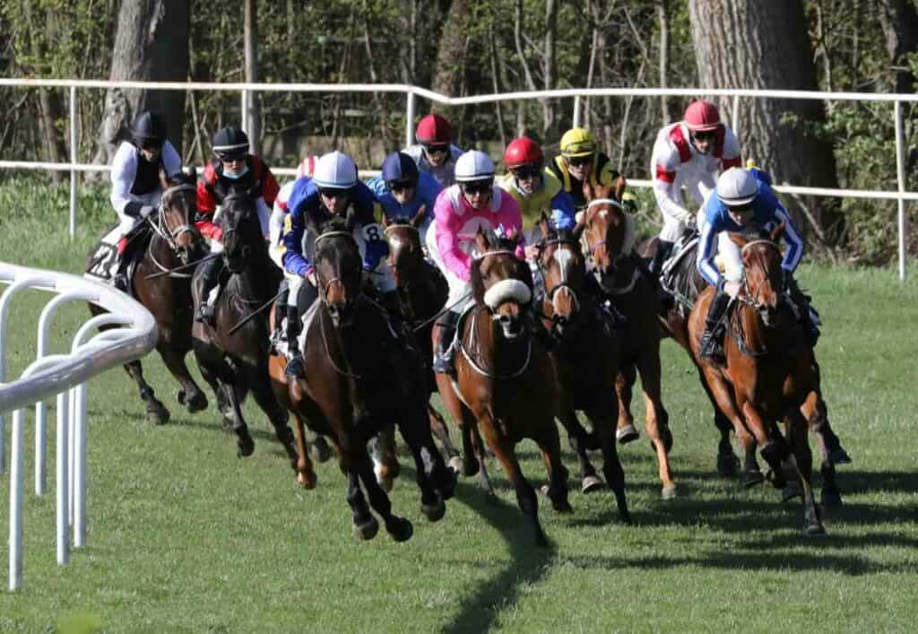 Multiple horses in a race