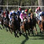Multiple horses in a race