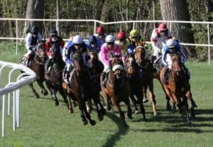 Multiple horses in a race