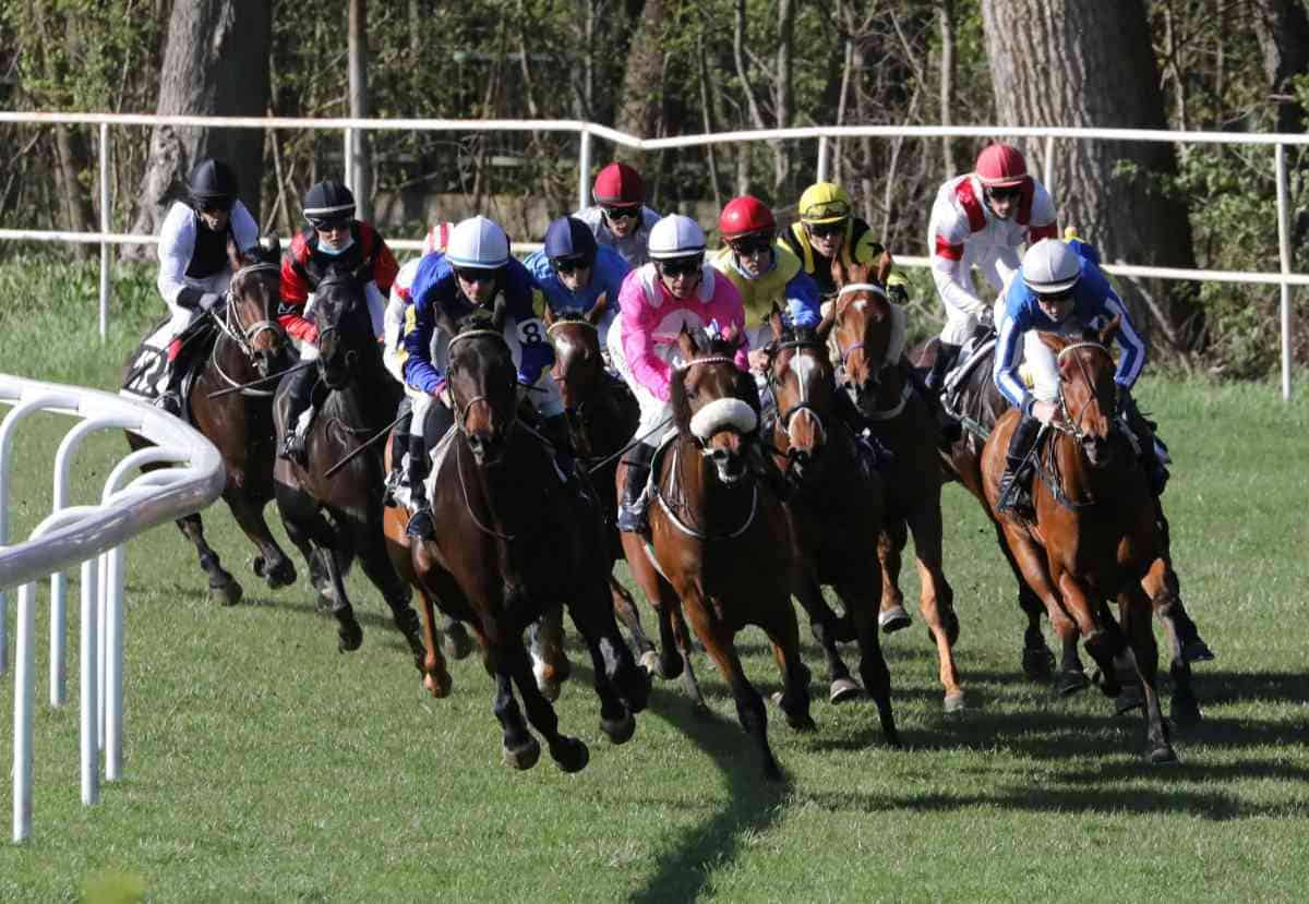 Multiple horses in a race