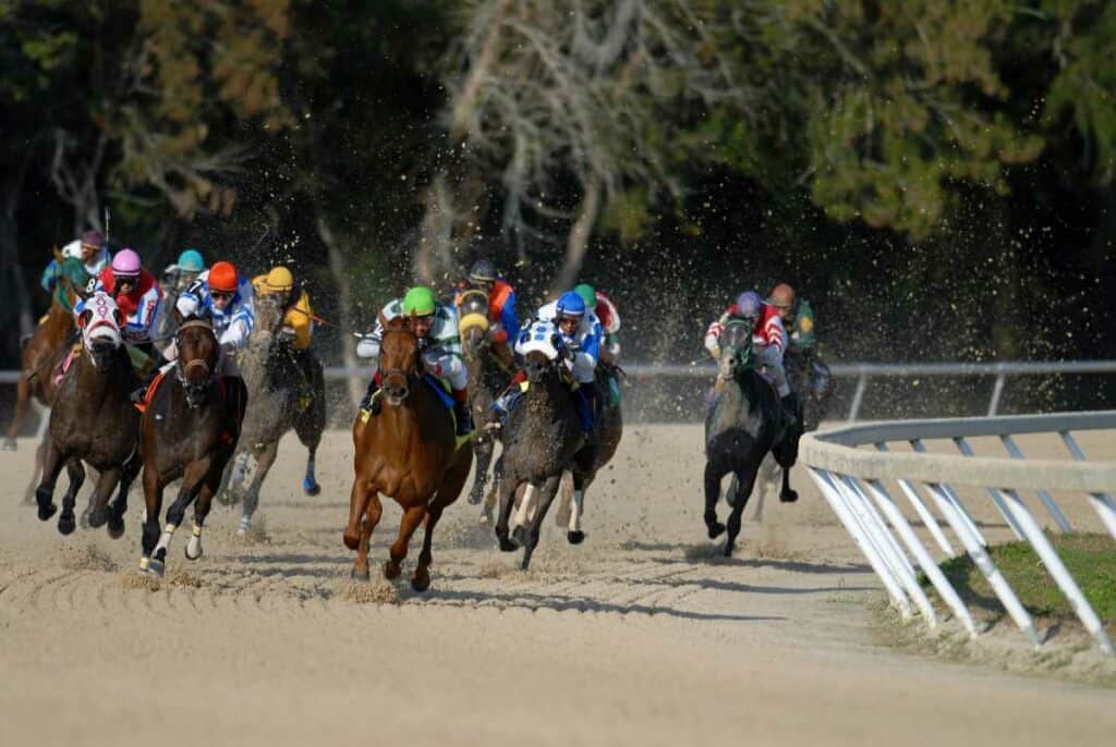 Multiple horses racing outside