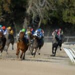 Multiple horses racing outside