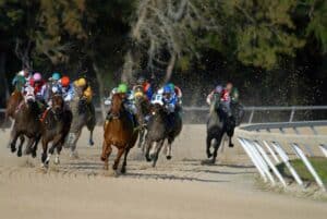 Multiple horses racing outside