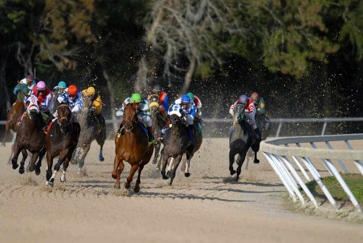 Multiple horses racing outside
