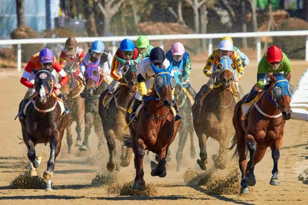 Multiple horses with riders in a race