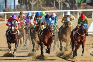 Multiple horses with riders in a race