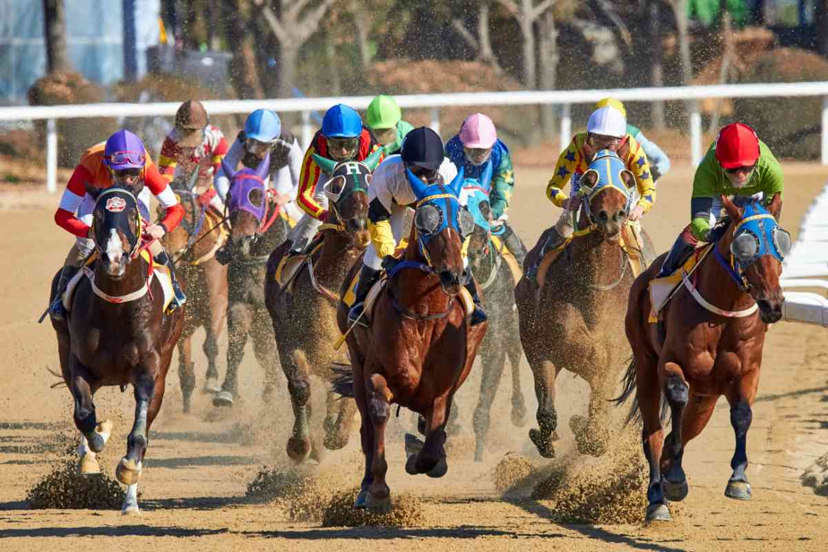 Multiple horses with riders in a race