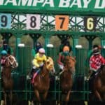 Multiple horses at the start of the race