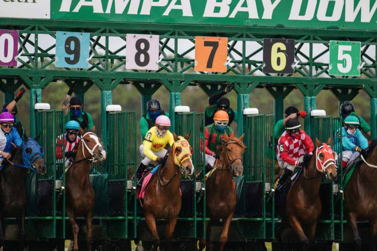 Multiple horses at the start of the race