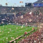 Football stadium filled with happy people