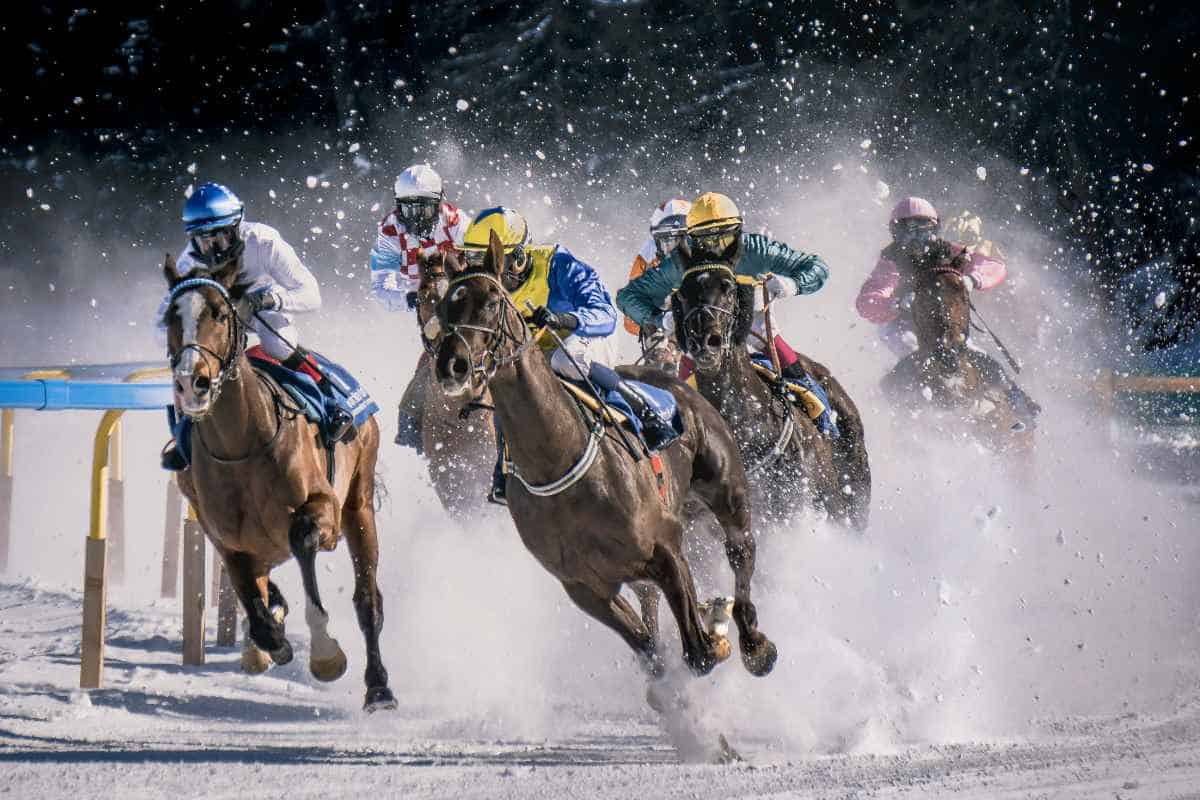 Multiple horses racing on the field