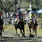 Horse racing