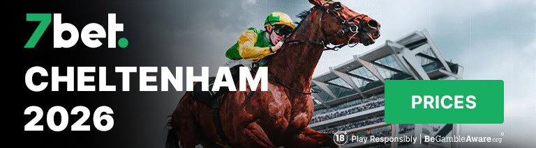 Cheltenham betting banner