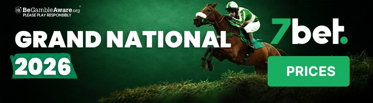 Grand National betting banner